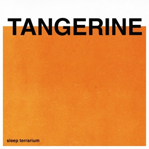 Обложка для Sleep Terrarium - Tangerine (Focus)