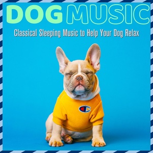 Обложка для Relax My Dog, Dog Music Dreams - Beach Stroll