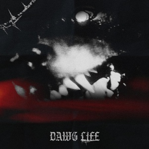 Обложка для LEBRO - Dawg Life