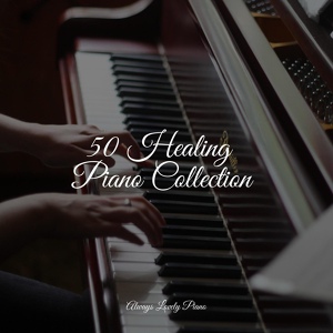 Обложка для Soothing Piano Collective, Relaxing Piano Music Consort, Piano Music for Work - Walk With Me