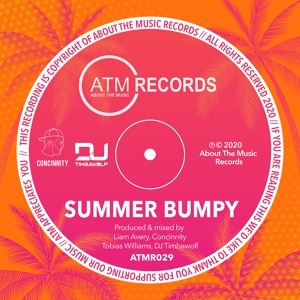 Обложка для Concinnity, DJ Timbawolf - Summer Bumpy