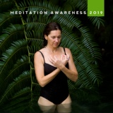 Обложка для Zen Méditation Ambiance, Native American Music Consort - Inner Focus