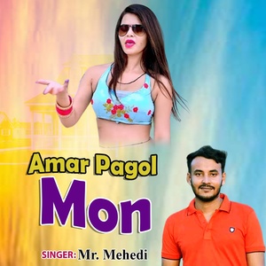 Обложка для Mr Mehedi - Amar Pagol Mon