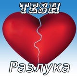 Обложка для TESH - Разлука