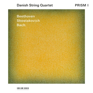 Обложка для Danish String Quartet - Shostakovich: String Quartet No. 15 in E-Flat Minor, Op. 144 - 1. Elegy. Adagio