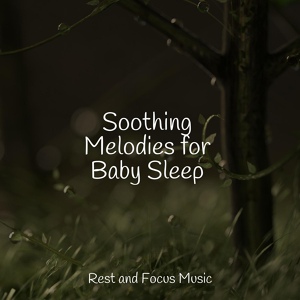 Обложка для Baby Sleep, Música Zen Relaxante, Brain Study Music Guys - Flow