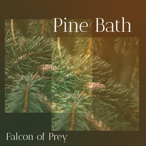 Обложка для Falcon of Prey - Pleasant aroma