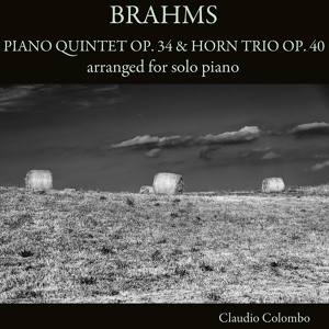 Обложка для Claudio Colombo - Piano Quintet in F Minor, Op. 34: II. Andante, un poco Adagio