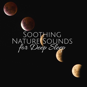 Обложка для Sleep Songs with Nature Sounds - Horizons for Alternative Healing