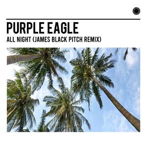 Обложка для Purple Eagle - All Night