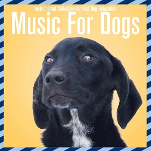 Обложка для Relaxmydog, Dog Music Dreams - The Chosen One