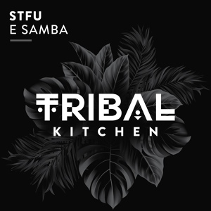 Обложка для STFU - E Samba