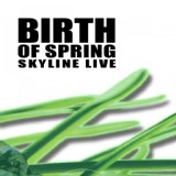 Обложка для Skyline Live - Loop from Nowhere