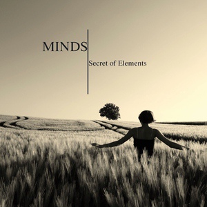 Обложка для Secret of Elements - The Beginning and the End