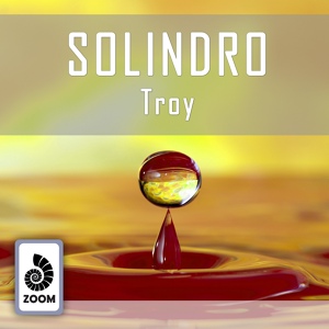 Обложка для Solindro - Troy