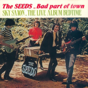 Обложка для The Seeds - Wish Me Up (Singles As & Bs 1965-1970)