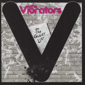Обложка для The Vibrators - Voodoo Eye