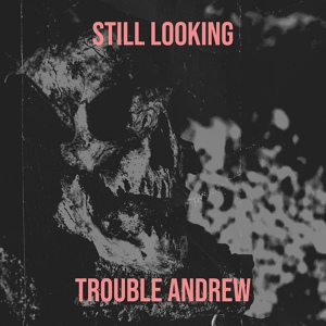 Обложка для Trouble Andrew - Still Looking