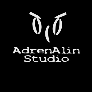 Обложка для AdrenAlin Studio - Survivor Game