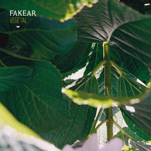 Обложка для Fakear - First Sights