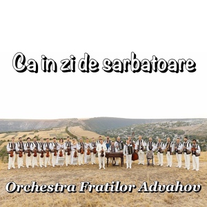 Обложка для Orchestra Fratilor Advahov - Joc Mare