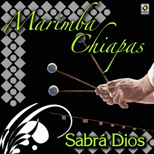 Обложка для Marimba Chiapas - Solo