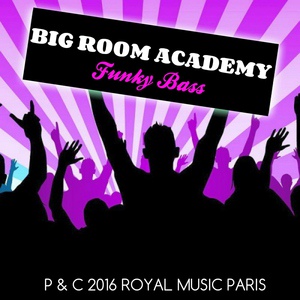 Обложка для Big Room Academy - Funky Bass