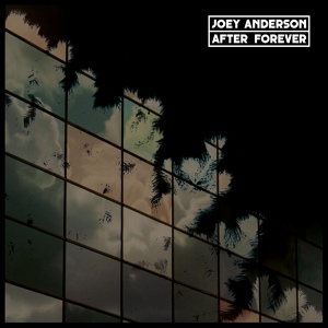 Обложка для Joey Anderson - Space Between Curtains (Original Mix)