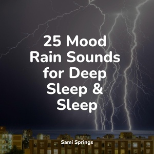 Обложка для The Relaxation Principle, Life Sounds Nature, Fresh Water Sounds for Inner Peace - Evening Rains