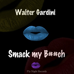 Обложка для Walter Gardini - Smack My Bitch