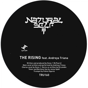 Обложка для Natural Self, Jonny Spall, Fluvio Sigurta feat. Andreya Triana - The Rising