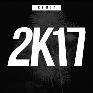 Обложка для REMID - 2K17