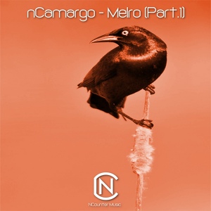 Обложка для nCamargo - Melro