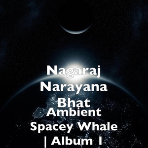 Обложка для Nagaraj Narayana Bhat - Pleasant Day