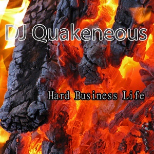 Обложка для DJ Quakeneous - Miracle Hunter