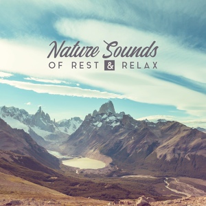 Обложка для Rest & Relax Nature Sounds Artists, Healing Music Academy, Relaxed Mind Music Universe - Sleep Sounds of Nature