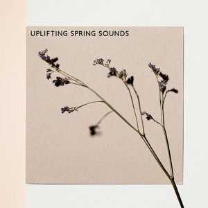 Обложка для Nature Sound Collection, Relaxing Music Therapy, Spring Awakening Music Resort - Spring Awakening