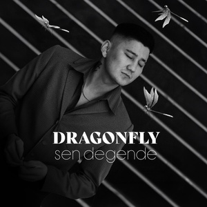 Обложка для Dragonfly - sen degende