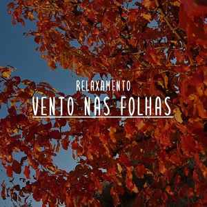Обложка для Notas de Relaxamento - Relaxamento: Vento nas Folhas, Pt. 27