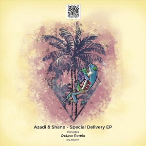 Обложка для Azadi, Shane - Special Delivery