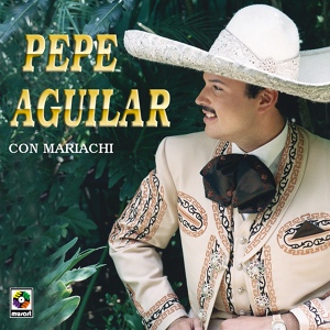 Обложка для Pepe Aguilar - El Gato