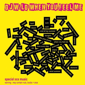 Обложка для DJ W!LD - When You Feel Me