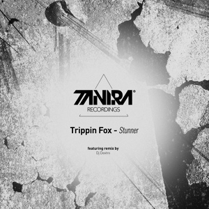 Обложка для Trippin Fox - Stunner