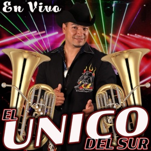 Обложка для El Unico Del Sur - Corrido de Nico Delgado