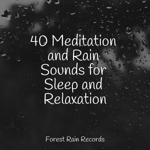 Обложка для Tranquility Spa Universe, Baby Sleep, Rain Sounds Nature Collection - Medium Rain