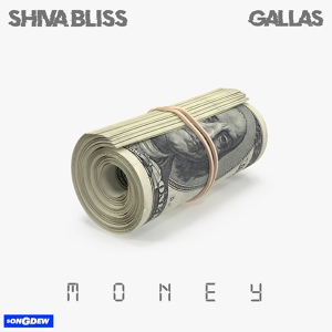 Обложка для shiva bliss feat. Gallas - Money