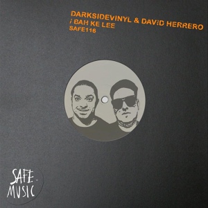 Обложка для David Herrero, Darksidevinyl - Domba