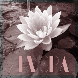 Обложка для Zen Spa Music Experts - Zen Life