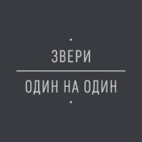 Обложка для Звери - Незнайка