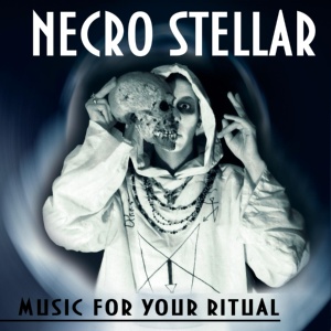 Обложка для NECRO STELLAR - Sybarite. Feedback Structuralism Poem